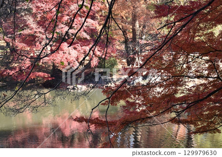 Autumn leaves reflected on the water 129979630