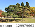 Autumnal leaves 129979663