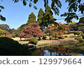 Autumn garden with colorful leaves 129979664