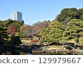 Autumn leaves and skyscrapers 129979667