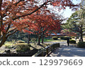 Landscape with autumn leaves 129979669