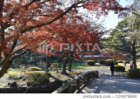 風景與秋天的落葉 風景與秋天的落葉 129979669
