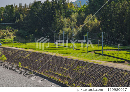 Scenery around the Oi River in Kawanehon Town (Shizuoka Prefecture) Scenery around the Oi River in Kawanehon Town (Shizuoka Prefecture) 129980037