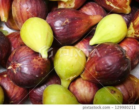 很多無花果 129980211