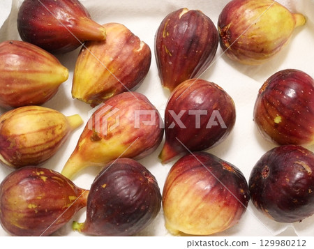 很多無花果 129980212