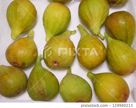 很多無花果 129980213