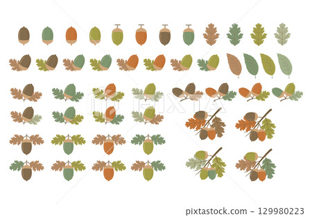 Simple acorn branch and leaf autumn illustration set Simple acorn branch and leaf autumn illustration set 129980223