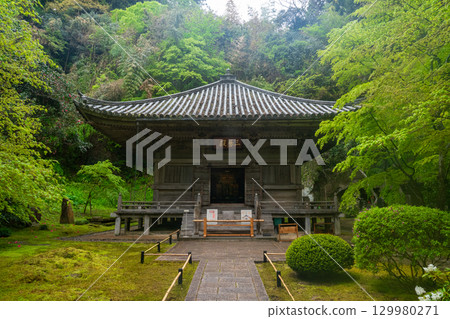 仙台市松島市瑞嚴寺圓通院 129980271