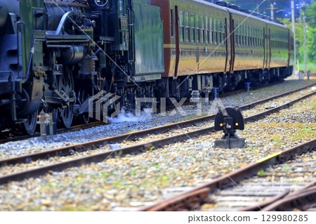 Steam locomotive (Chichibu Railway) 129980285