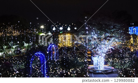 照明阿莎卡花卉公園 129980882