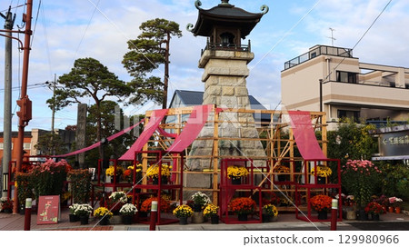 Kasama chrysanthemum festival 129980966