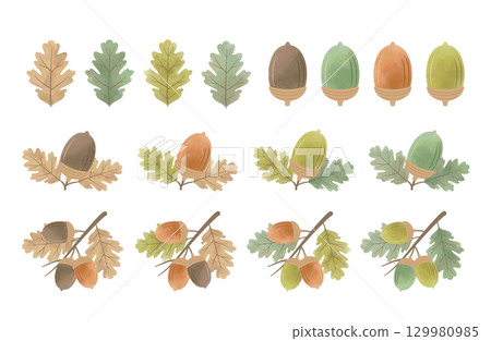 水彩風格橡實秋季插畫集 水彩風格橡實秋季插畫集 129980985