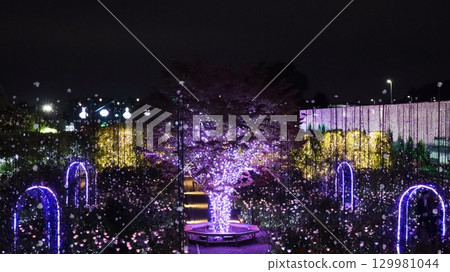 足利花卉公園的冬季彩燈 足利花卉公園的冬季彩燈 129981044