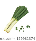 Japanese leek  129981374