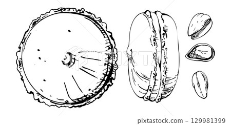 Candy dragee scattered on whoopie moon pies and macarons, sandwich biscuits with puffy cream filling in vector ink. Isolated hand drawn dessert artwork. Menu designs, cafe signs, sweet kitchen decor. 129981399
