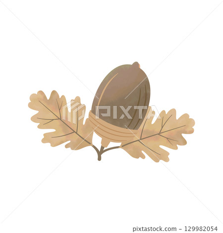 水彩風格橡子秋季插圖，有葉子，深棕色 129982054