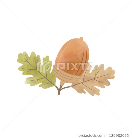 水彩風格橡子秋季插圖，有棕色的葉子 129982055
