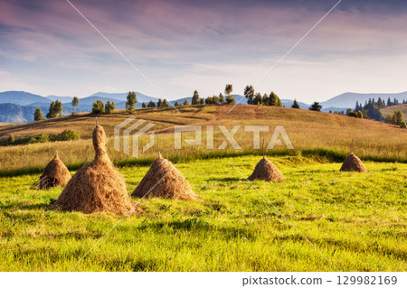 sunny mountain landscape 129982169