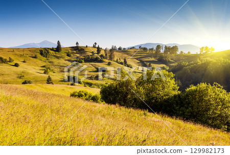 sunny mountain landscape 129982173