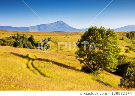 sunny mountain landscape 129982174
