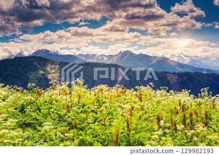 mountain landscape of georgia mountain landscape of georgia 129982193