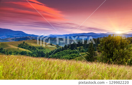 sunset sunset 129982220