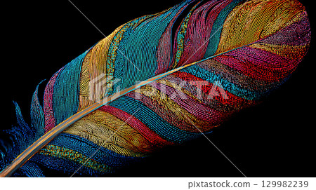 五顏六色的羽毛特寫 129982239