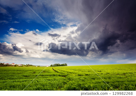 field 129982268