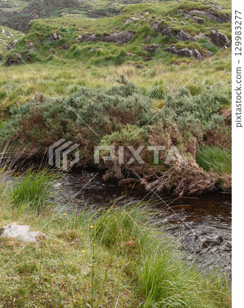 Small stream flowing through the Gap of Dunloe with green vegetation and brush on the banks of the waterway in Ireland. Small stream flowing through the Gap of Dunloe with green vegetation and brush on the banks of the waterway in Ireland. 129983277