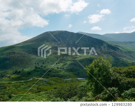 Lush green hills cover the landscape with mountains under a blue sky with clouds at the Gap of Dunloe. Small pools of water sit amongst the green. Lush green hills cover the landscape with mountains under a blue sky with clouds at the Gap of Dunloe. Small pools of water sit amongst the green. 129983280