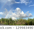 有彩虹的風景（雨後從田野看到的天空） 129983490