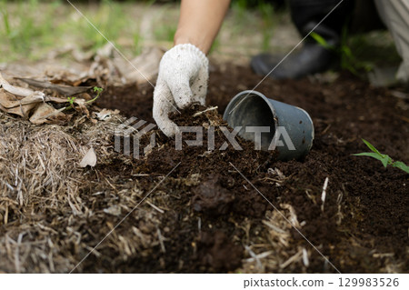 為家庭花園準備土壤、將堆肥放入花盆以及移植 129983526