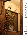 A houseplant and dried ikema fruit reflected in the wooden mirror in the entrance hall 129983670