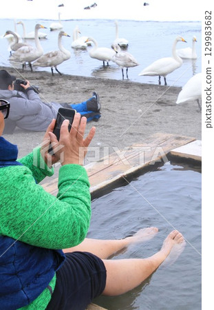 中國遊客在屈斜路湖沙浴取暖時，用智慧型手機拍攝天鵝的照片 129983682