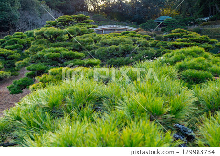 特別觀光景點：栗林公園朝霞 129983734