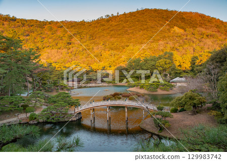Special Sightseeing Spot: Morning Glow at Ritsurin Garden 129983742