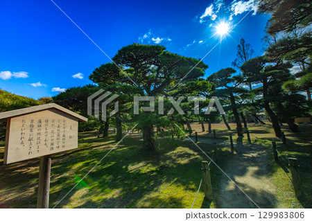 香川縣丸龜市中津萬松園 129983806