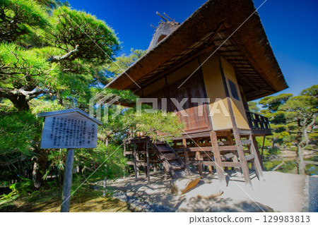 香川縣丸龜市中津萬松園 129983813