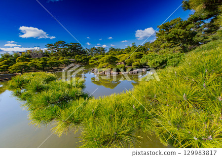 香川縣丸龜市中津萬松園 129983817