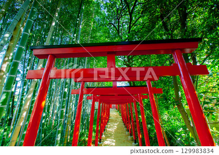 Nakatsu Banshoen, Marugame City, Kagawa Prefecture 129983834