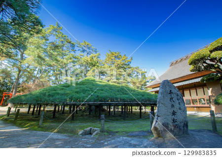 Nakatsu Banshoen, Marugame City, Kagawa Prefecture Nakatsu Banshoen, Marugame City, Kagawa Prefecture 129983835