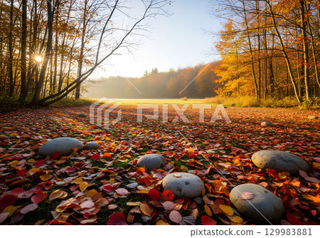 A picturesque autumn forest glade, strewn with colorful leaves and stones. 129983881