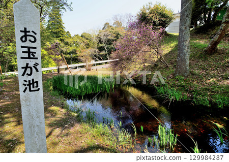 上總國久留里城：複製的天守閣和圍牆 129984287