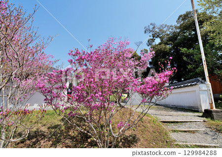 上總國久留里城:複製的天守閣和圍牆 上總國久留里城:複製的天守閣和圍牆 129984288