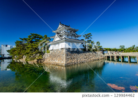 Tamamo Park - The castle where sea bream swim Tamamo Park - The castle where sea bream swim 129984462