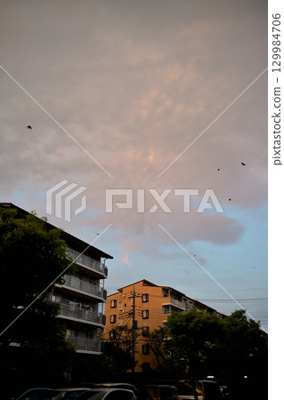 Dusk of the evening 129984706