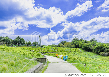 贊岐滿濃國營公園 - 四季花田 129985122