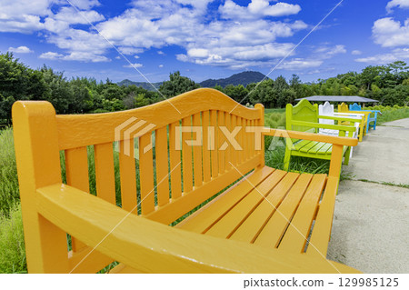 Sanuki Manno National Government Park - Seasonal Flower Fields Sanuki Manno National Government Park - Seasonal Flower Fields 129985125