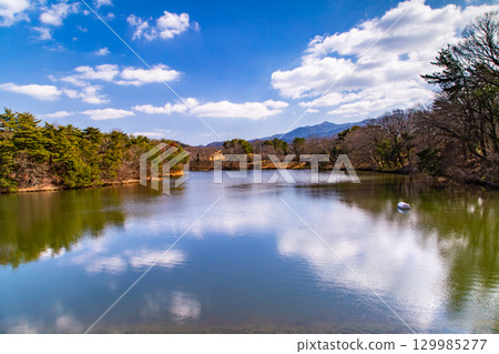 贊岐滿濃國營公園 - 四季花田 129985277