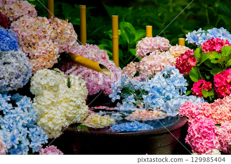 贊岐滿濃國營公園 - 四季花田 129985404